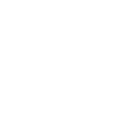 Actions Suisse